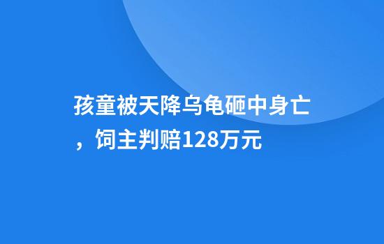 孩童被天降乌龟砸中身亡，饲主判赔128万元