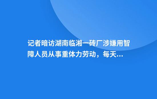 记者暗访湖南临湘一砖厂涉嫌用智障人员从事重体力劳动，每天工作12小时全年无休，只给饭不给钱，工人被解救时开心地称想回家