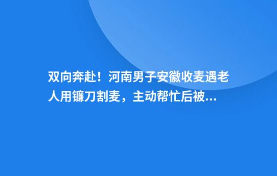 双向奔赴！河南男子安徽收麦遇老人用镰刀割麦，主动帮忙后被强行“投喂”饮料