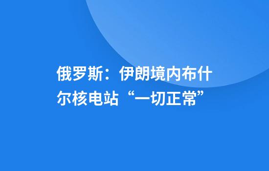 俄罗斯：伊朗境内布什尔核电站“一切正常”