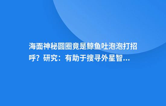 海面神秘圆圈竟是鲸鱼吐泡泡打招呼？研究：有助于搜寻外星智慧