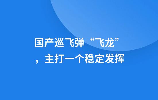 国产巡飞弹“飞龙”，主打一个稳定发挥