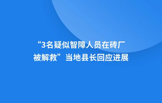 “3名疑似智障人员在砖厂被解救”当地县长回应进展
