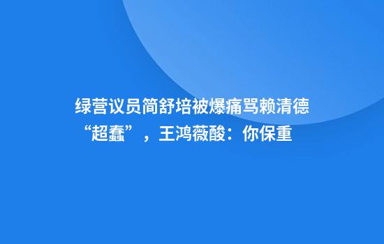 绿营议员简舒培被爆痛骂赖清德“超蠢”，王鸿薇酸：你保重