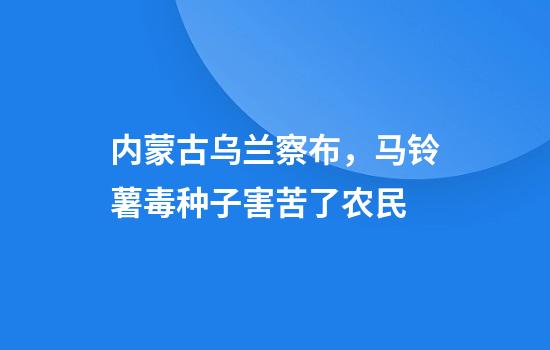 内蒙古乌兰察布，马铃薯毒种子害苦了农民