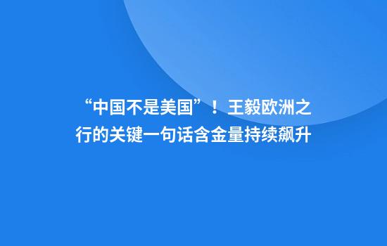“中国不是美国”！王毅欧洲之行的关键一句话含金量持续飙升