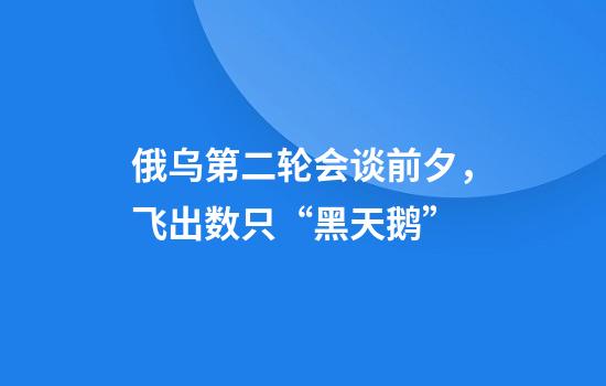 俄乌第二轮会谈前夕，飞出数只“黑天鹅”