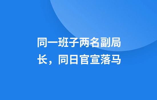 同一班子两名副局长，同日官宣落马