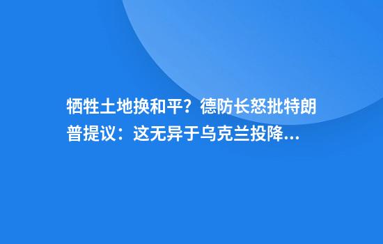 牺牲土地换和平?德防长怒批特朗普提议:这无异于乌克兰投降!