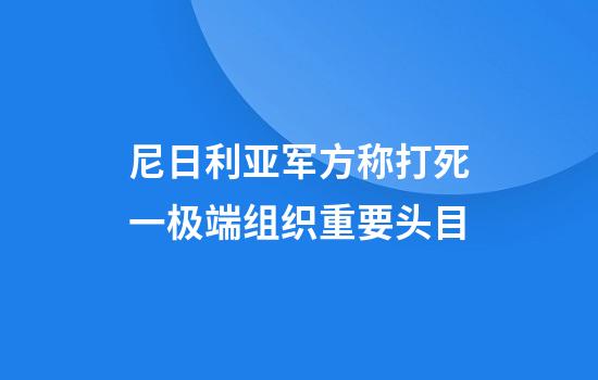 尼日利亚军方称打死一极端组织重要头目