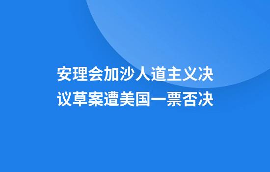安理会加沙人道主义决议草案遭美国一票否决