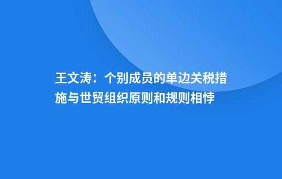 王文涛：个别成员的单边关税措施与世贸组织原则和规则相悖