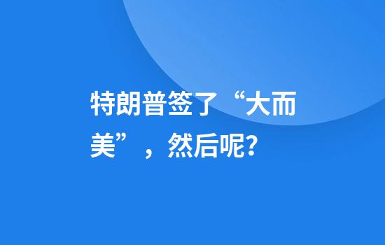 特朗普签了“大而美”，然后呢？