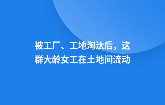 被工厂、工地淘汰后，这群大龄女工在土地间流动