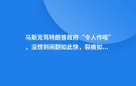马斯克骂特朗普政府“令人作呕”，没想到闹翻如此快，裂痕如此深