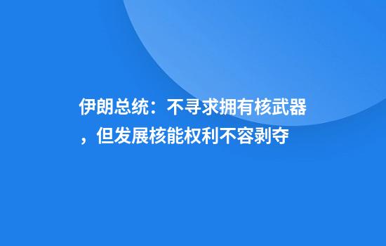 伊朗总统：不寻求拥有核武器，但发展核能权利不容剥夺