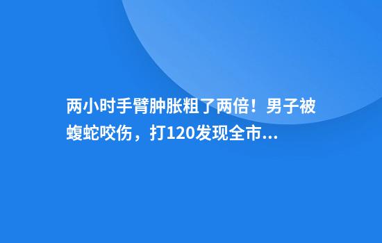 两小时手臂肿胀粗了两倍！男子被蝮蛇咬伤，打120发现全市无适配血清