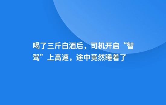 喝了三斤白酒后，司机开启“智驾”上高速，途中竟然睡着了