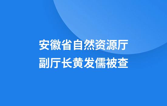 安徽省自然资源厅副厅长黄发儒被查