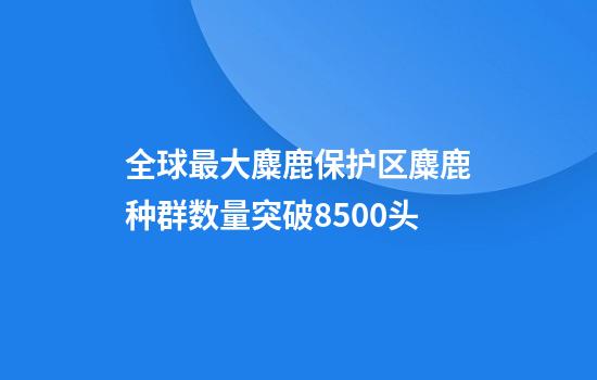全球最大麋鹿保护区麋鹿种群数量突破8500头