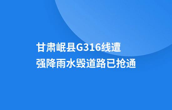 甘肃岷县G316线遭强降雨水毁道路已抢通