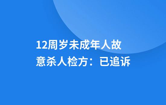 12周岁未成年人故意杀人检方：已追诉