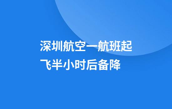 深圳航空一航班起飞半小时后备降