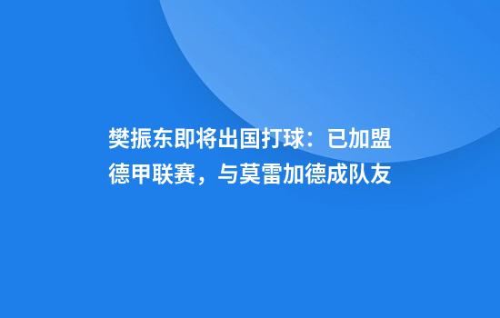 樊振东即将出国打球：已加盟德甲联赛，与莫雷加德成队友