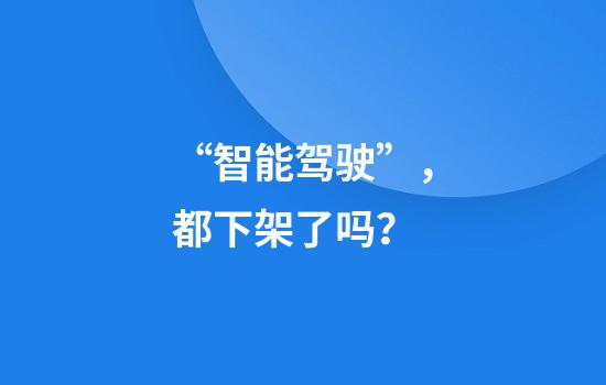 “智能驾驶”，都下架了吗？