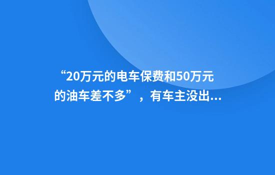 “20万元的电车保费和50万元的油车差不多”，有车主没出险还要被涨保费！业内：新能源车出险频度显著高于油车，车主投保理赔需注意