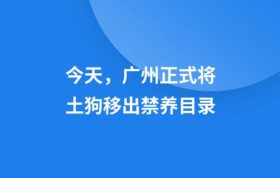 今天,广州正式将土狗移出禁养目录