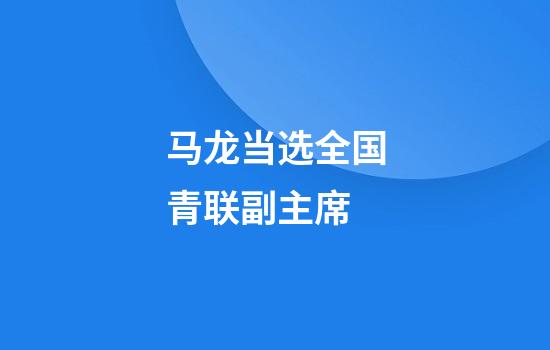 马龙当选全国青联副主席