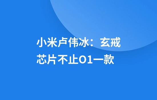 小米卢伟冰：玄戒芯片不止O1一款