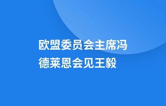 欧盟委员会主席冯德莱恩会见王毅