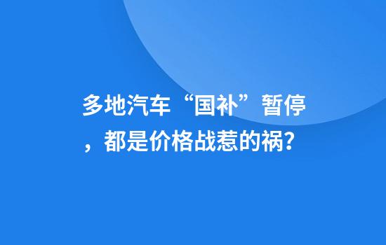 多地汽车“国补”暂停，都是价格战惹的祸？