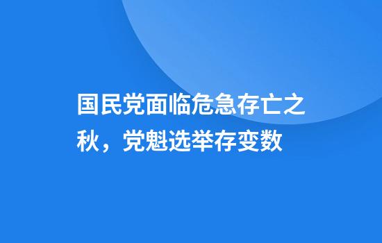 国民党面临危急存亡之秋，党魁选举存变数