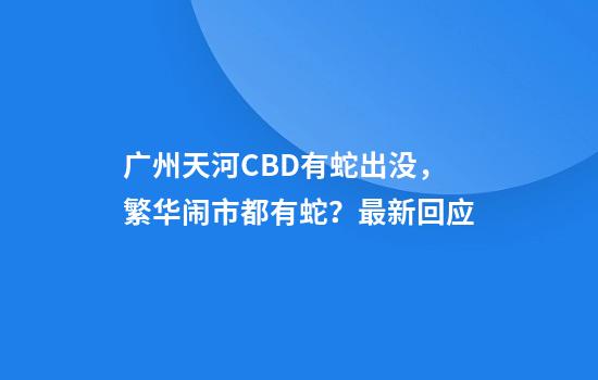 广州天河CBD有蛇出没，繁华闹市都有蛇？最新回应