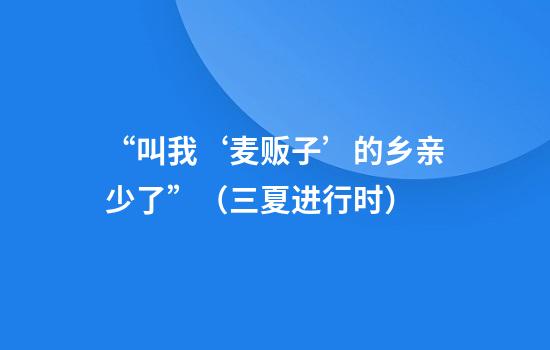 “叫我‘麦贩子’的乡亲少了”（三夏进行时）