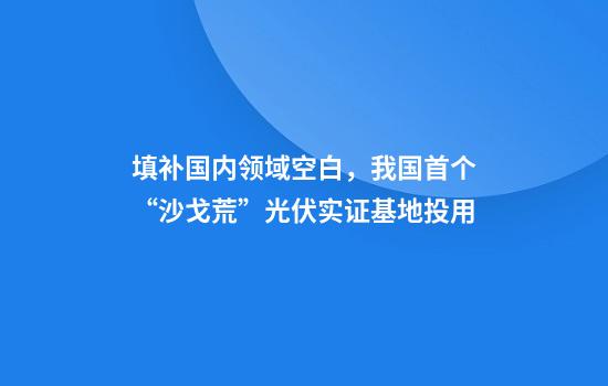 填补国内领域空白，我国首个“沙戈荒”光伏实证基地投用